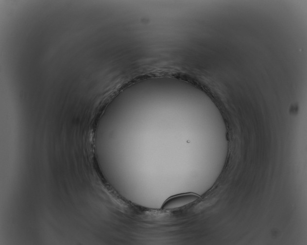 X0000091730480200708241048