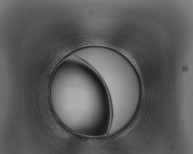X0000091730481200708241047