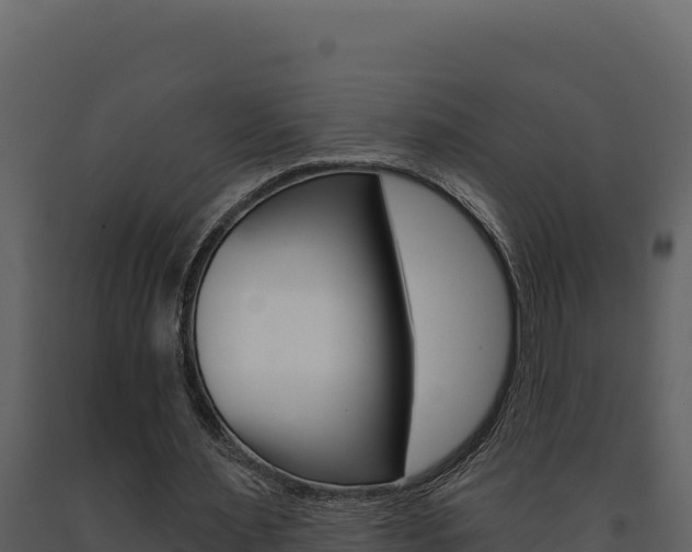 X0000091730483200708241047