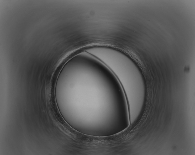 X0000091730484200708241047