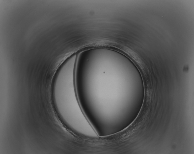 X0000091730485200708241047