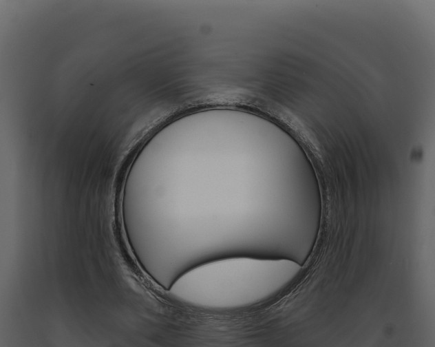 X0000091730486200708241047
