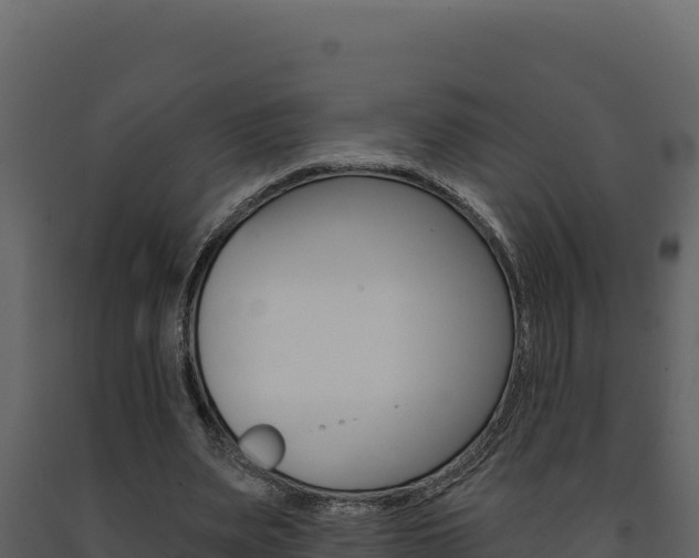 X0000091730487200708241047