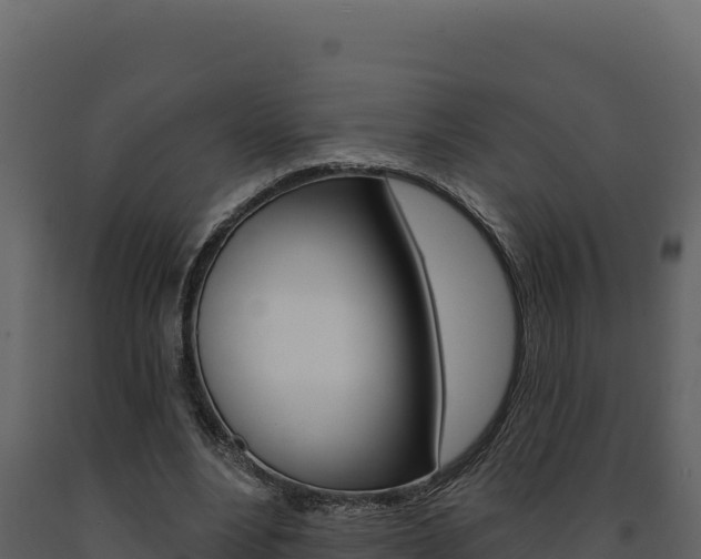 X0000091730488200708241047