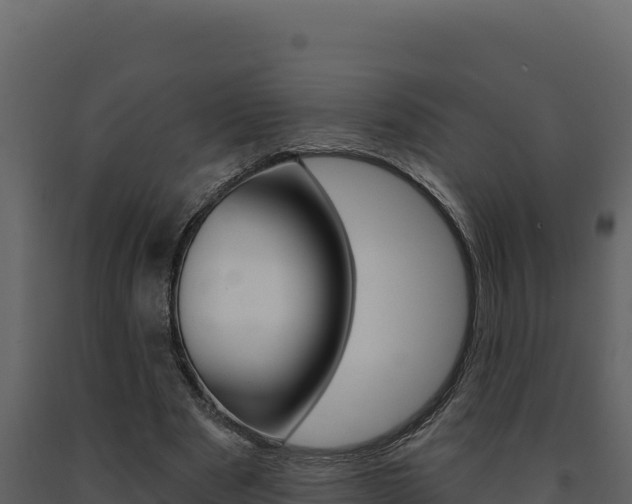 X0000091730489200708241047