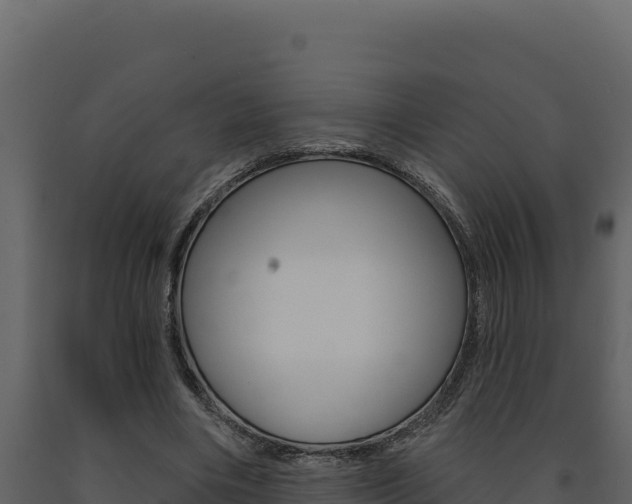 X0000091730490200708241047