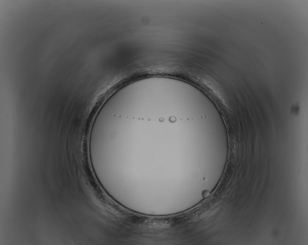 X0000091730491200708241047