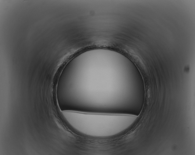 X0000091730492200708241047
