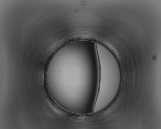 X0000091730493200708241047
