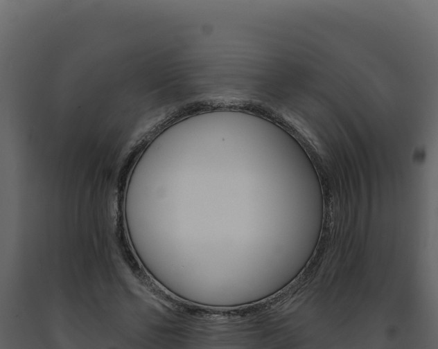 X0000091730494200708241047