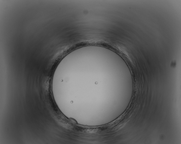 X0000091730495200708241047