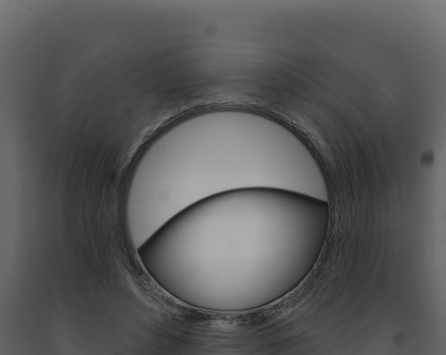 X0000091730496200708241047