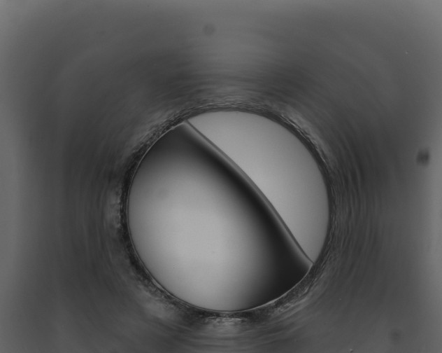 X0000091730497200708241047