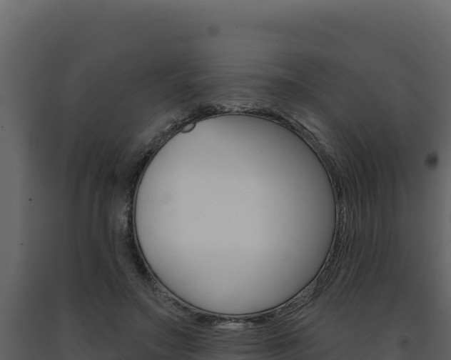 X0000091730499200708241047