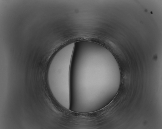 X0000091730500200708241047