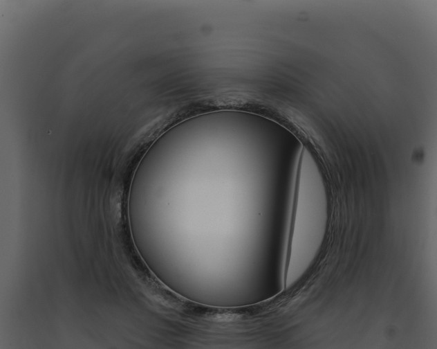 X0000091730501200708241047