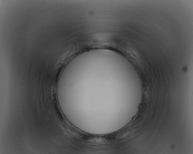 X0000091730503200708241047