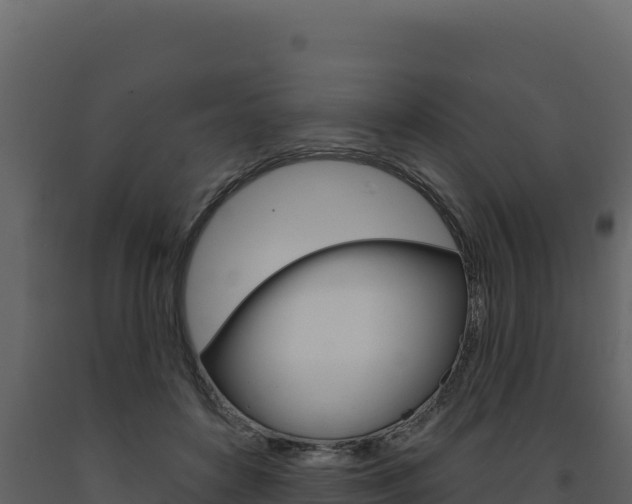 X0000091730504200708241047
