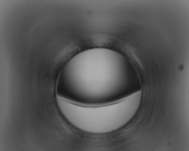 X0000091730505200708241047