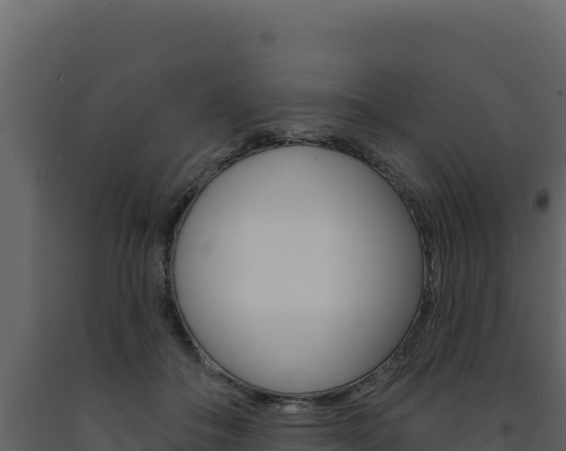 X0000091730506200708241047