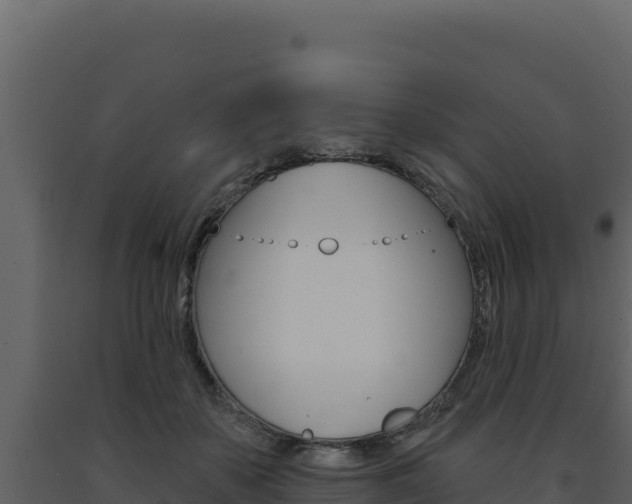 X0000091730507200708241047