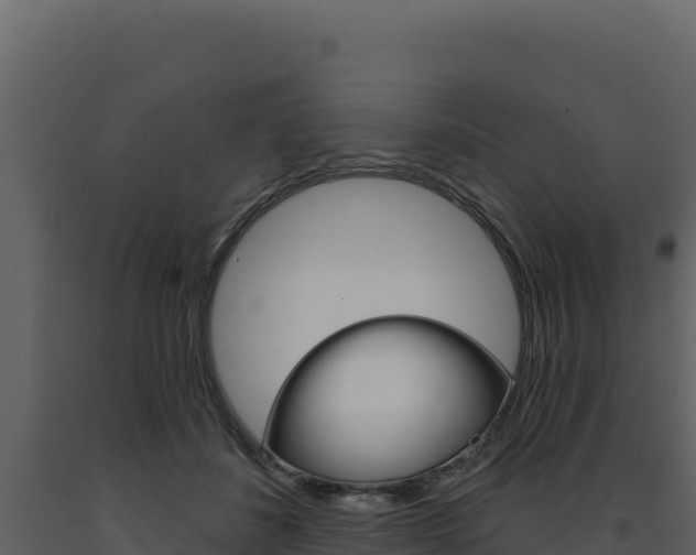 X0000091730508200708241047