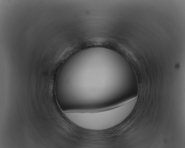 X0000091730509200708241047