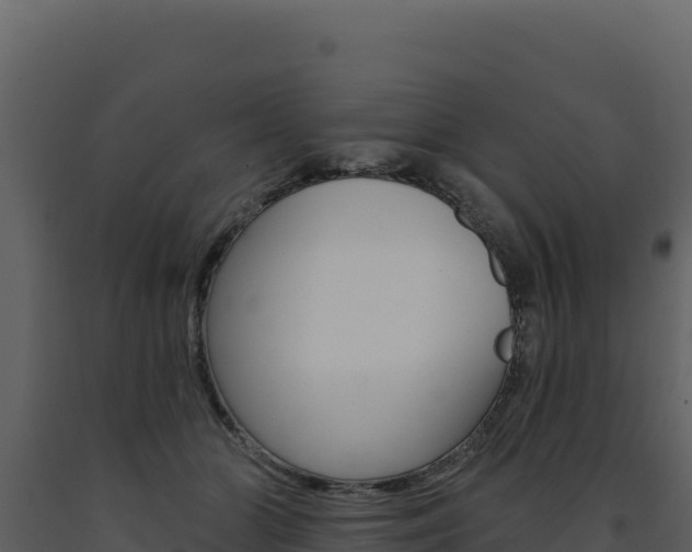 X0000091730510200708241047