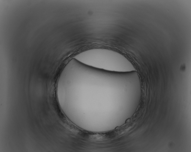 X0000091730511200708241047