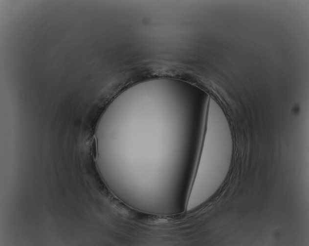 X0000091730513200708241047