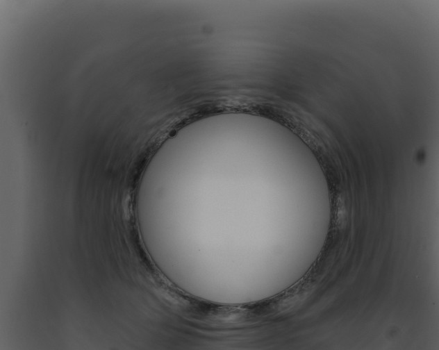 X0000091730514200708241047