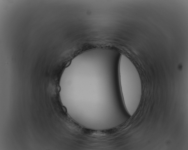 X0000091730515200708241047