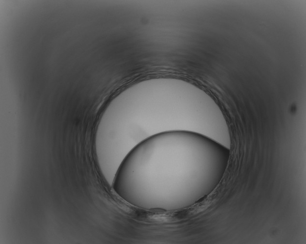 X0000091730516200708241047