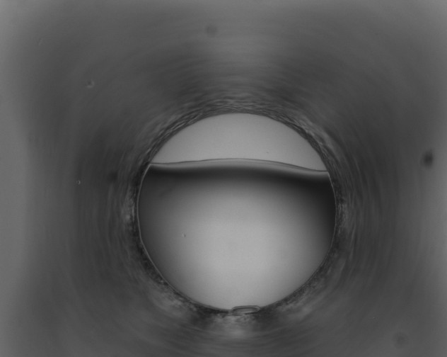 X0000091730517200708241047