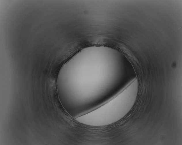 X0000091730521200708241047