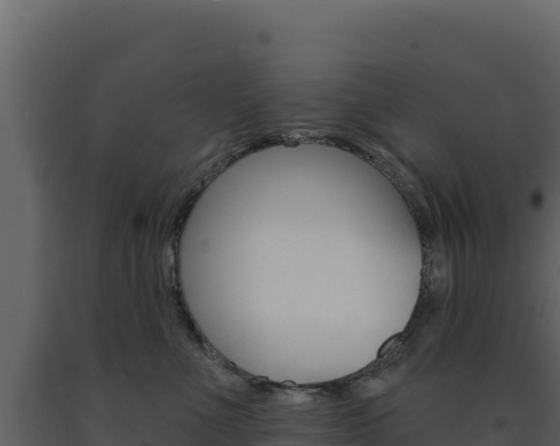 X0000091730523200708241047