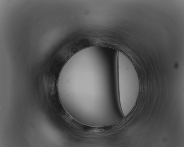 X0000091730525200708241047