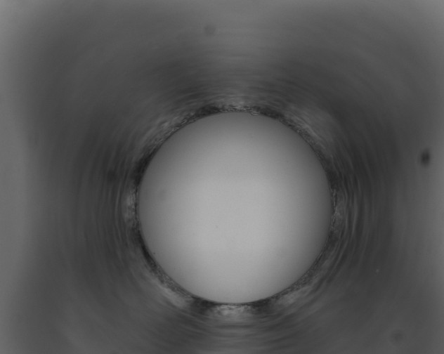 X0000091730526200708241047