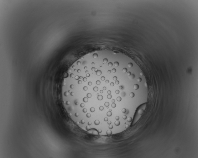 X0000091730527200708241047