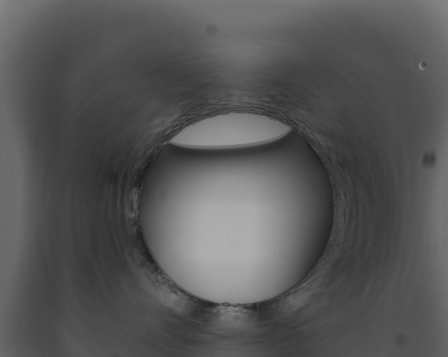 X0000091730528200708241047