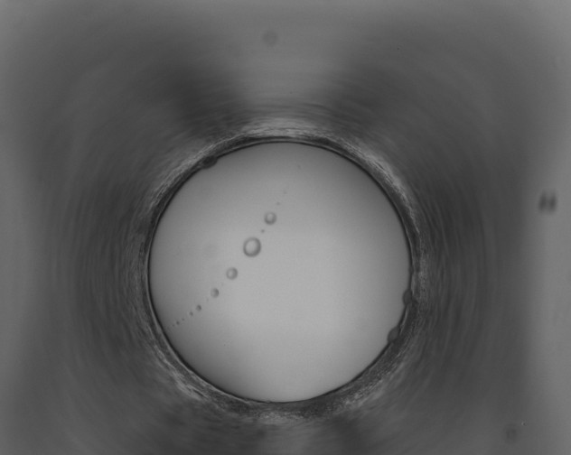 X0000091730529200708241046