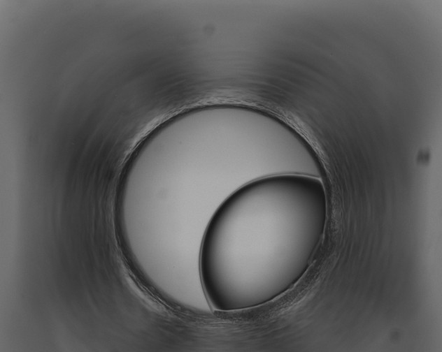 X0000091730530200708241046
