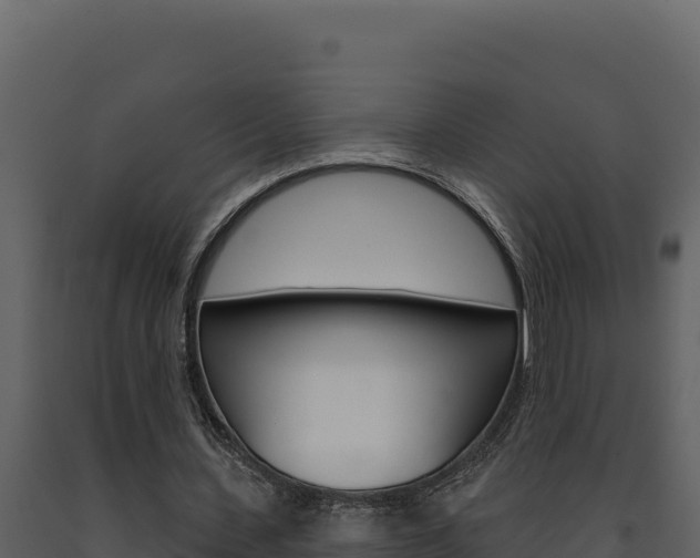 X0000091730531200708241046