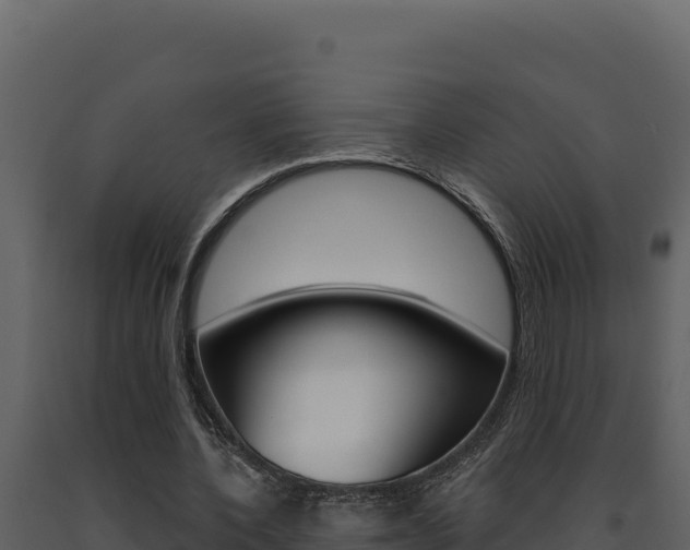 X0000091730532200708241046