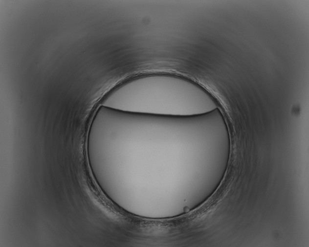 X0000091730533200708241046