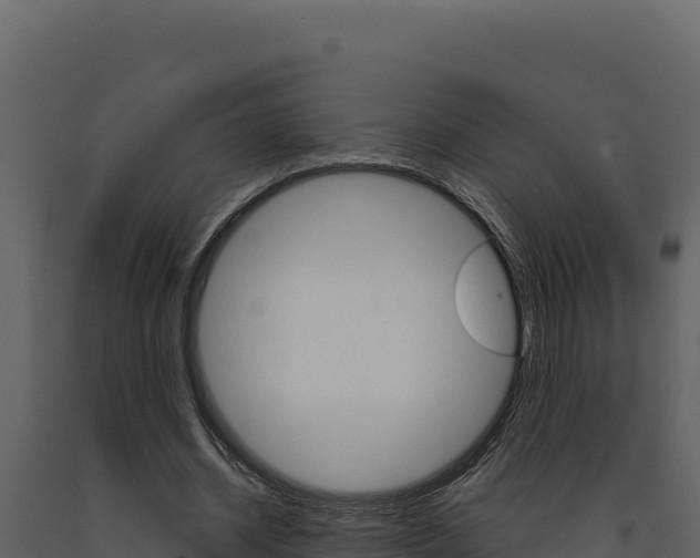 X0000091730534200708241046