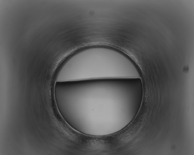 X0000091730535200708241046