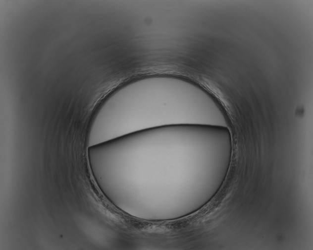 X0000091730537200708241046