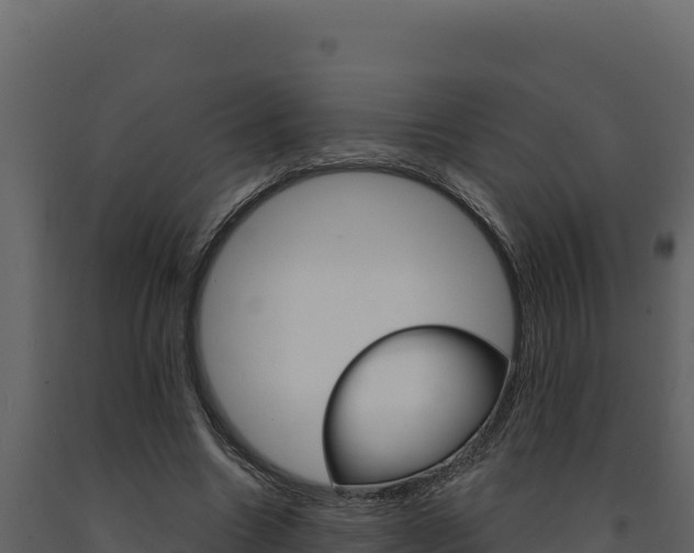 X0000091730538200708241046