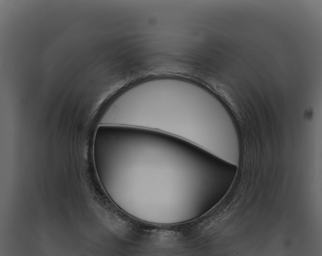 X0000091730539200708241046